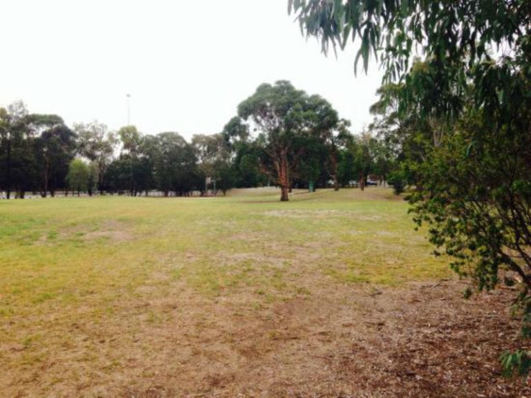 Hyde Park 86 768x576