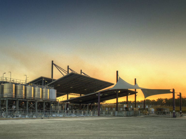 Kirrihill Dog Friendly Winery 1 86 768x576