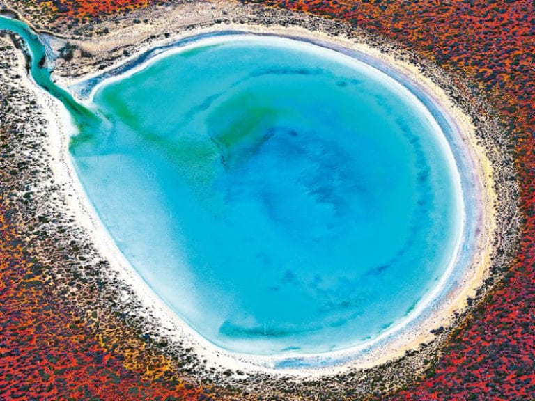 Little Lagoon 2 86 768x576