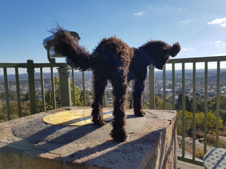 Mt Marlay 86 768x576