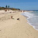 North Cottesloe Beach 86 150x150