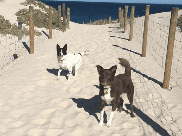 North Floreat Beach 768x576