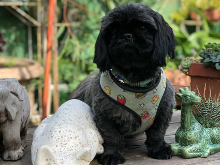 Old Man Drew 1 86 768x576