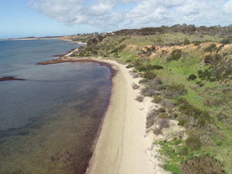 Pine Point 86 768x576