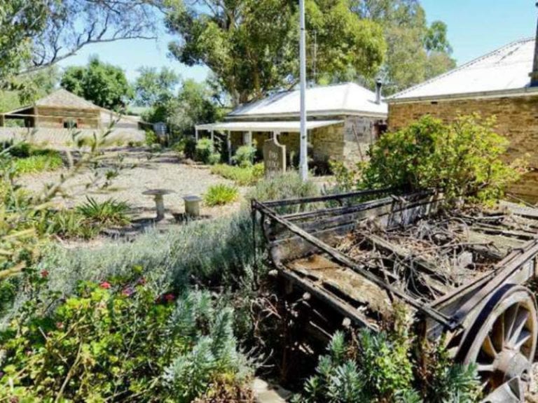 Reillys Dog Friendly Winery 1 86 768x576