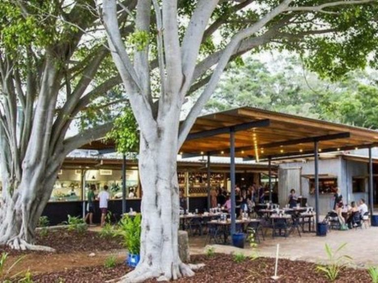 The Farm 2 86 768x576