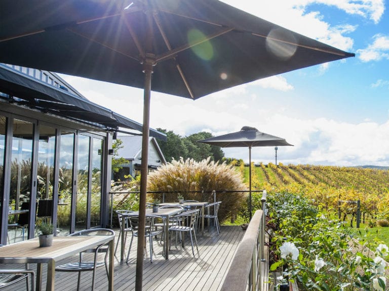 Toms Cap Vineyard 1 86 768x576