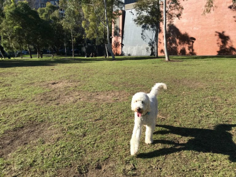 harmony park 86 768x576