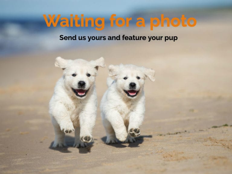 1 Beach Feature photo 13 768x576