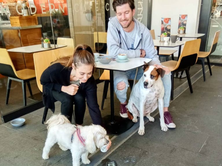 Academy Cafe  768x576