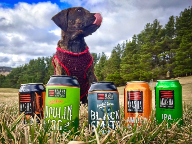 Akasha Brewing 5 86 768x576