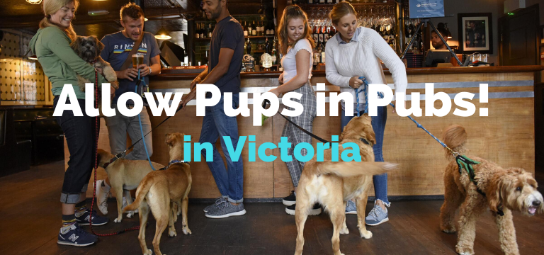 Allow Pups in Pubs in Victoria