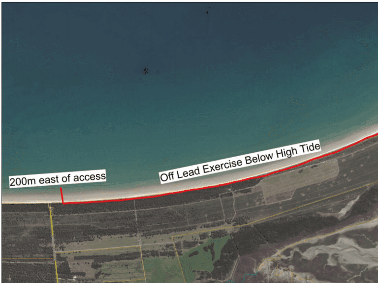 Anthony Beach 768x576