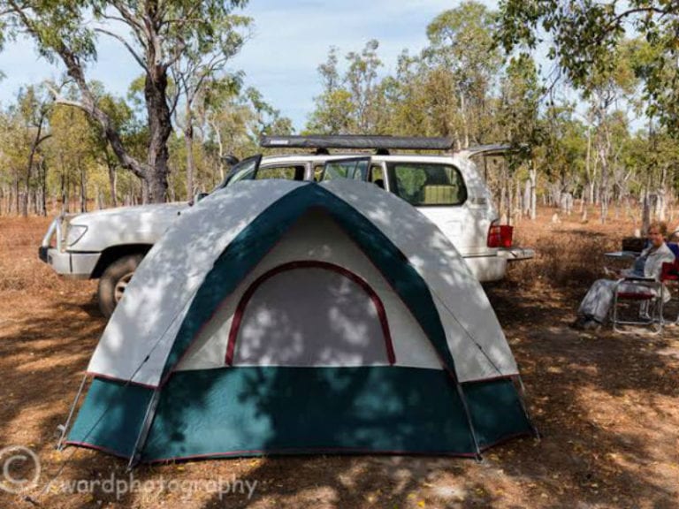 Artemis Station 86 768x576