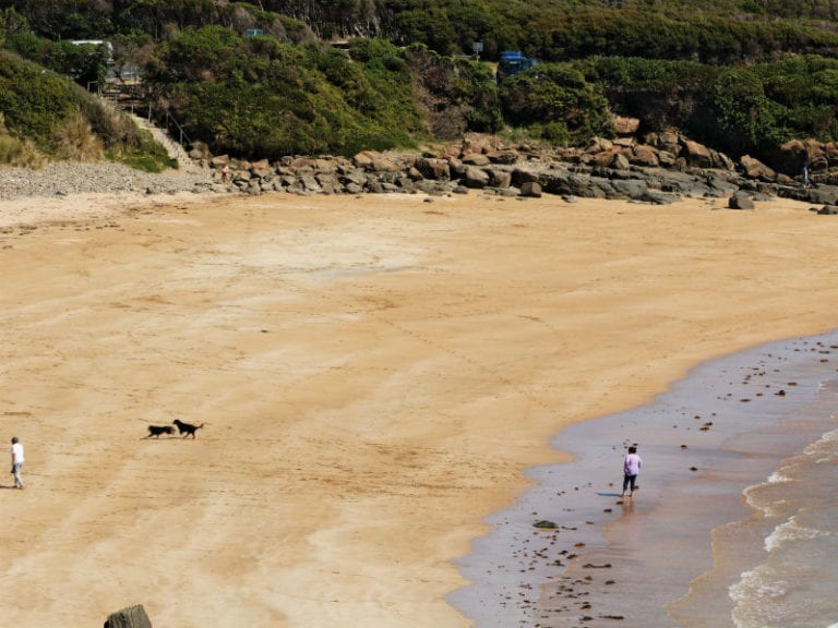 Back Beach Devonport 86 768x576