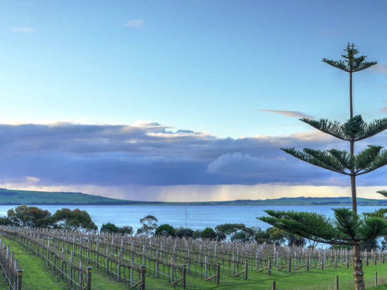 Bay of Shoals 1 86 768x576