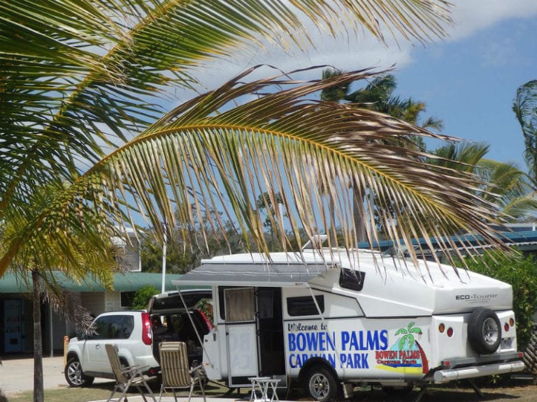 Bowen Palms 86 1 768x576