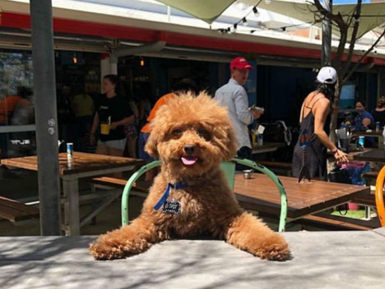 Clancys Fish Pub City Beach 768x576