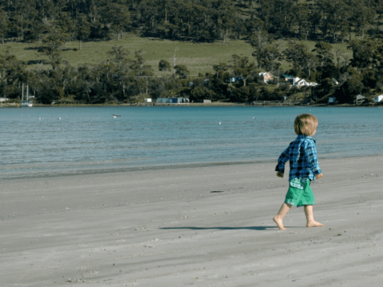 Connellys Marsh 86 768x576