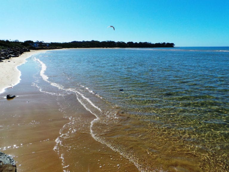 Freers Beach 86 768x576