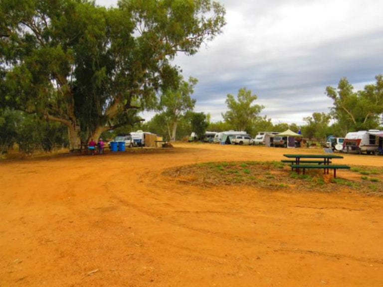 Lloyd Jones Weir Barcladine 86 768x576