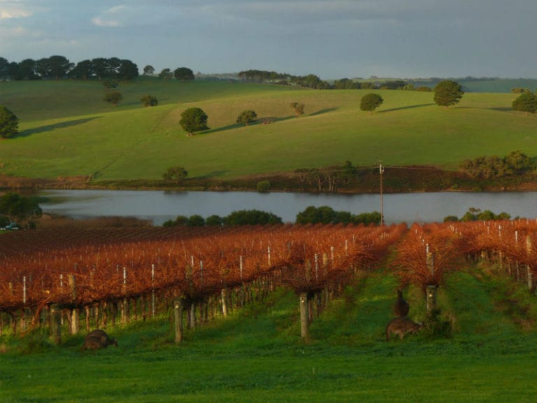 MT Jagged Wines 86 768x576