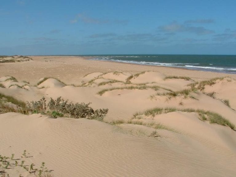 Miaboolya Beach 768x576