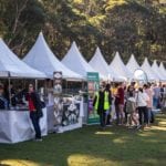 Pet Festival Chatswood 150x150