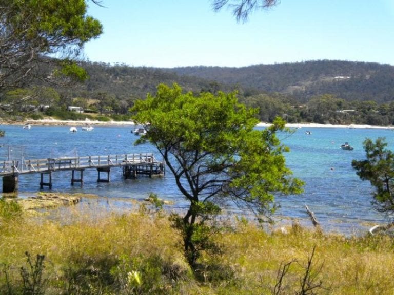 Shelly Beach 86 768x576