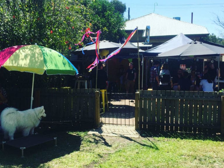 Snag Brown 3 86 768x576