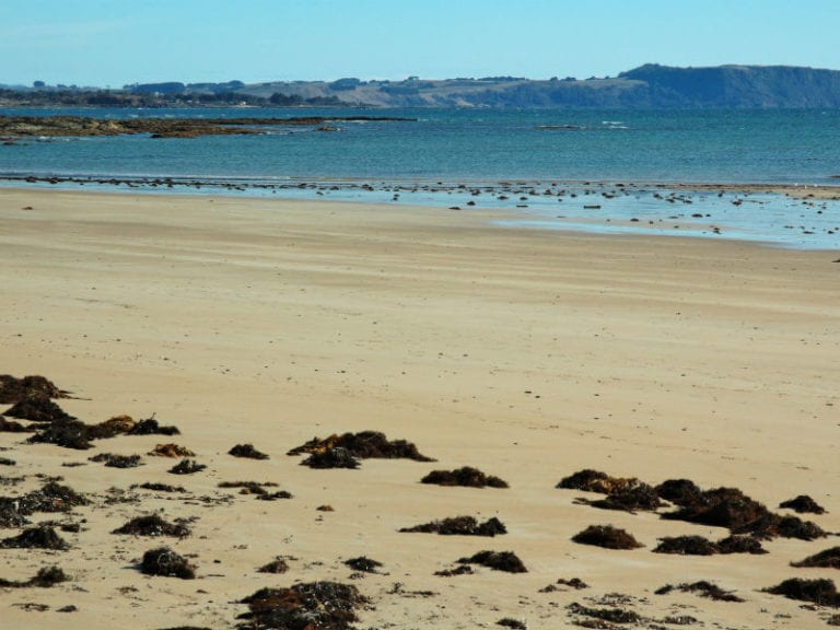 Somerset Beach 86 768x576