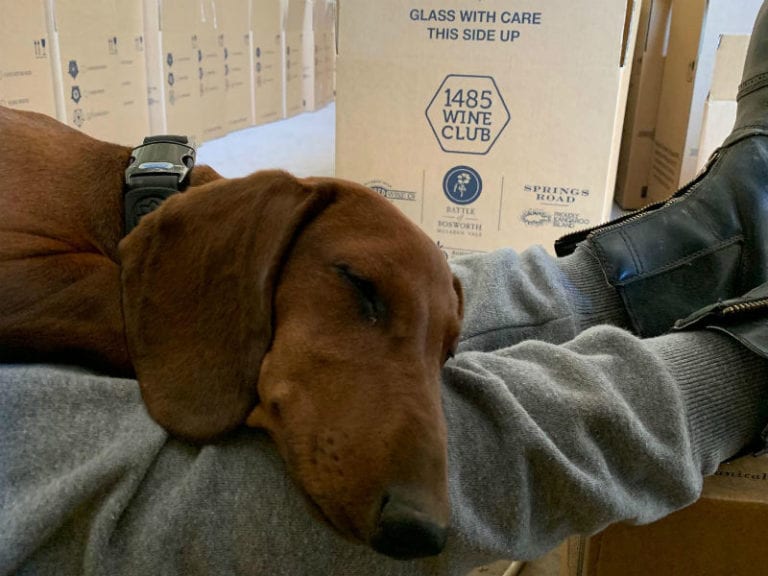 Springs Road 1 86 768x576