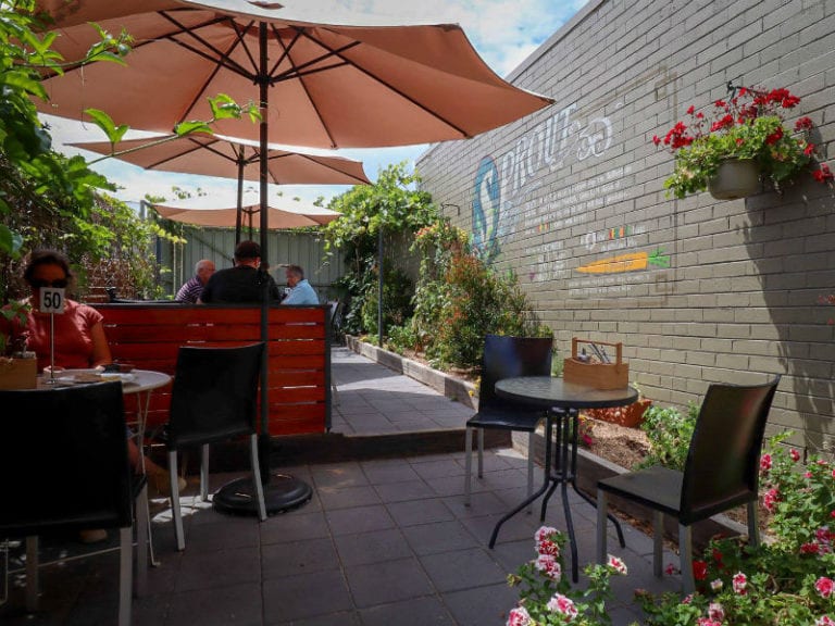 Sprout Eden 1 86 768x576