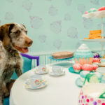 Tea party Hound5 86 150x150