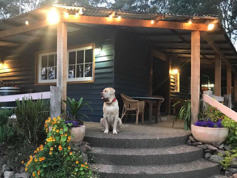 Tilba Valley Winery 2 768x576