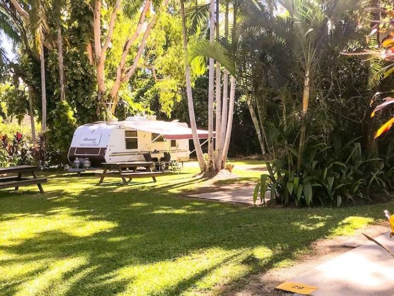 Tropical Hibiscus Caravan Park 86 768x576