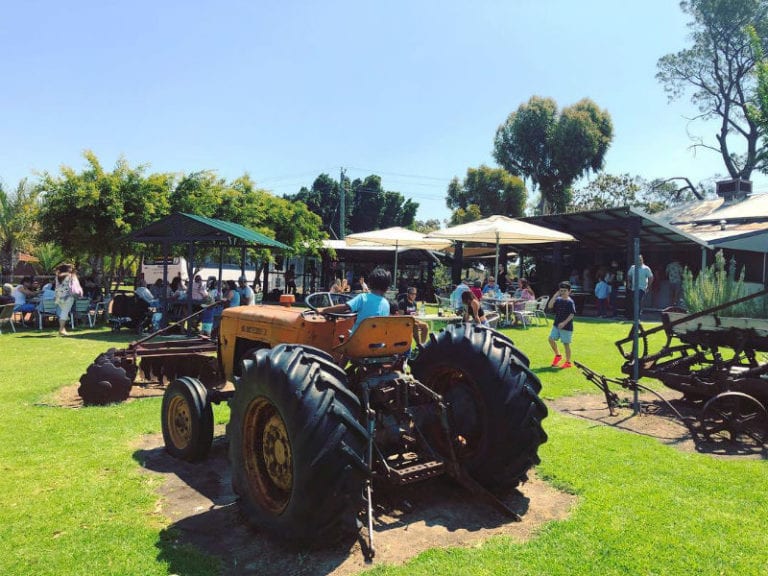 Ugly Duckling Wines 768x576