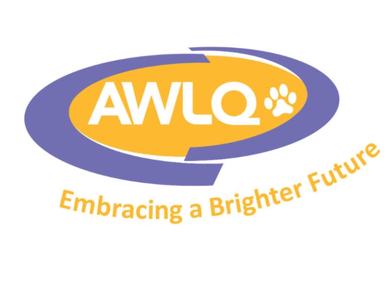 Animal Welfare League 1 86 2 768x576