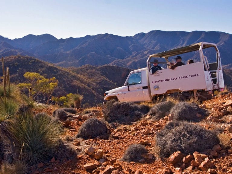Arkaroola Wilderness Sanctuary 86 768x576