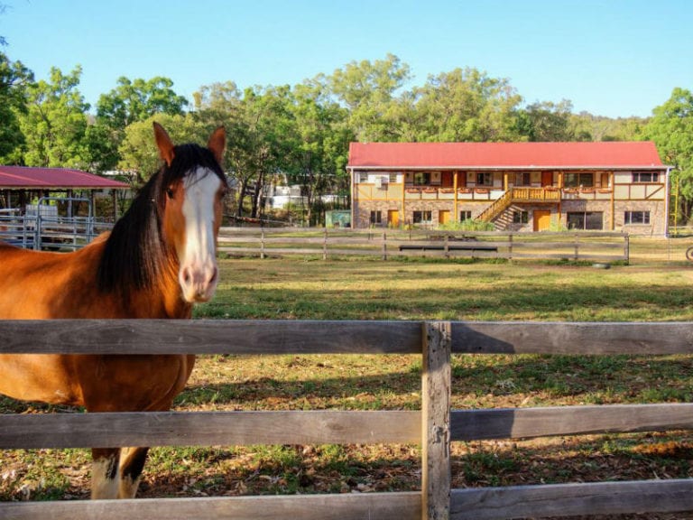 Barkala Farmstay 4 86 768x576