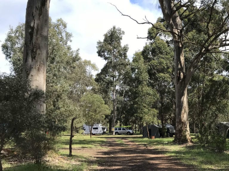 Boat Harbour Camp 8 6 768x576