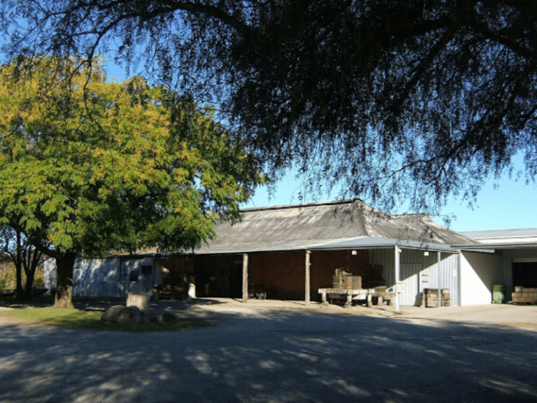 Chambers Rosewood Vineyards 768x576