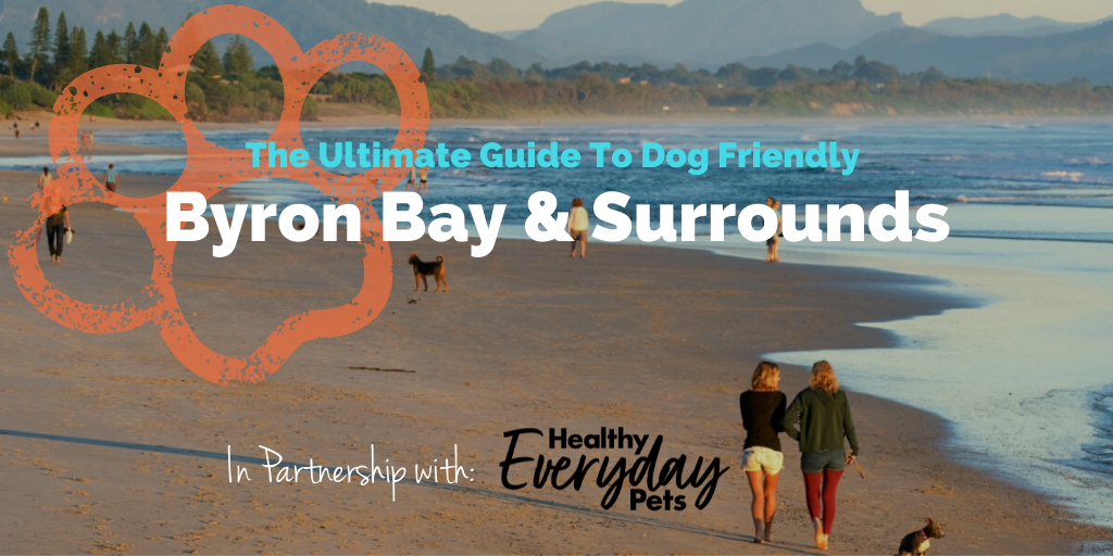 Dog-Friendly-Byron-Bay-HEP