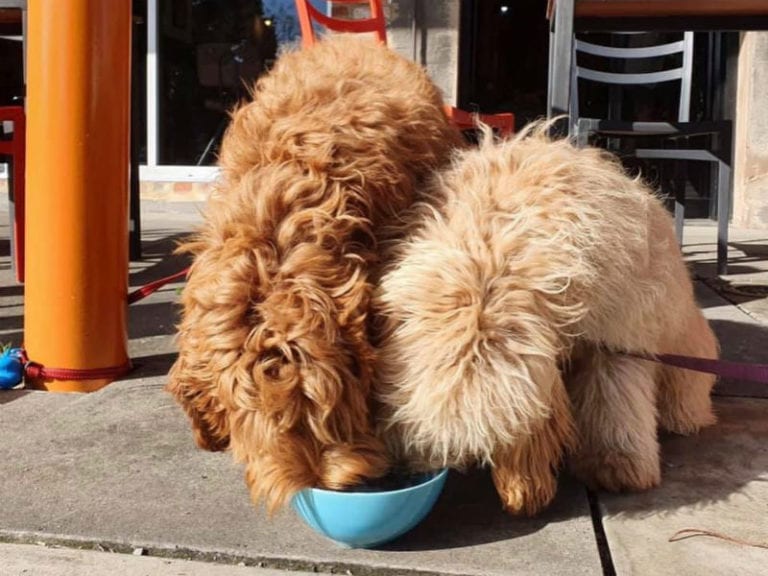 Fare and Square 5 86 768x576