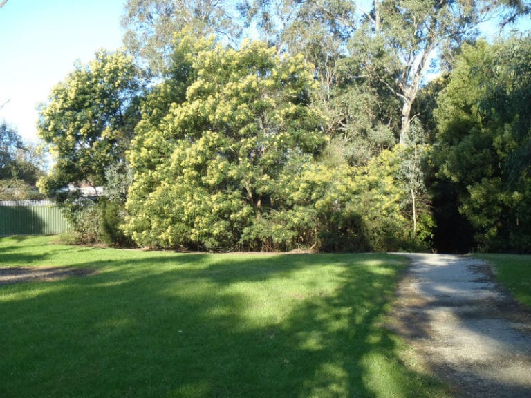 Fotheringham Reserve 86 768x576