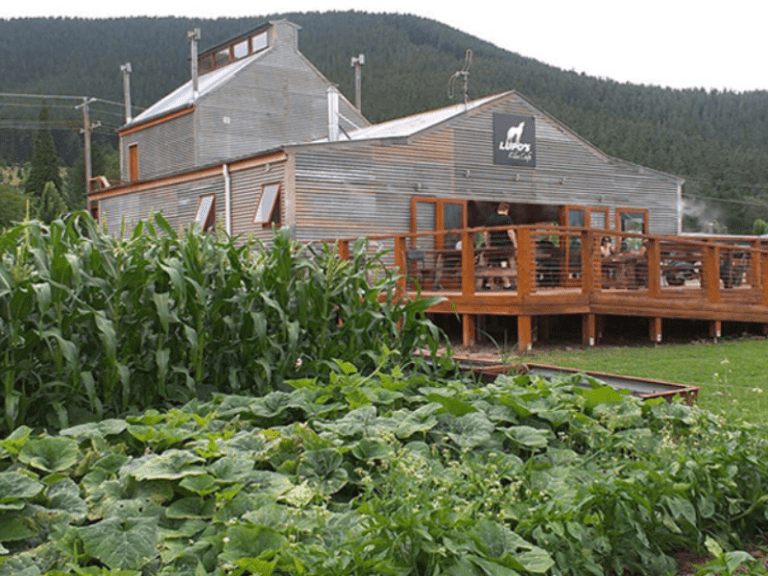 Lupos Kiln Cafe 768x576