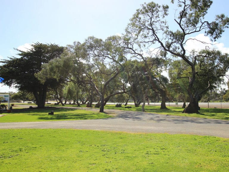 Minlaton Caravan Park 86 768x576