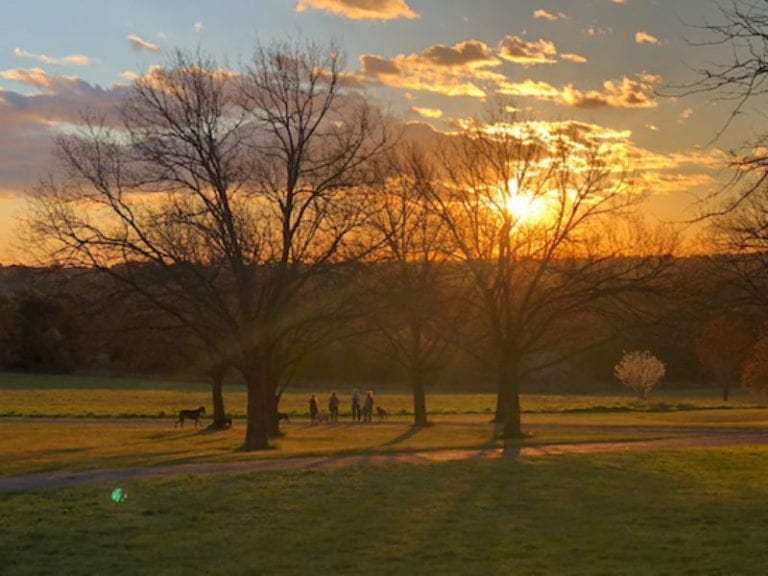 Nortons Park 1 86 768x576