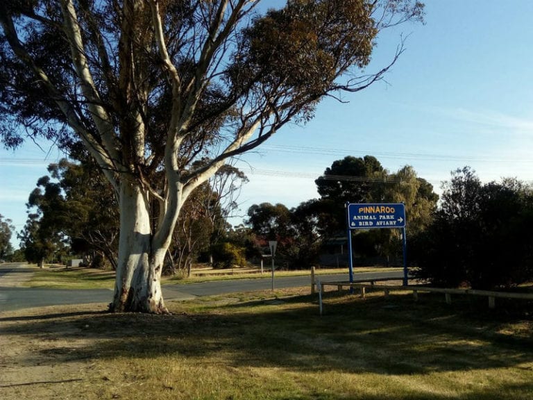 Pinnaroo Caravan Park 86 768x576
