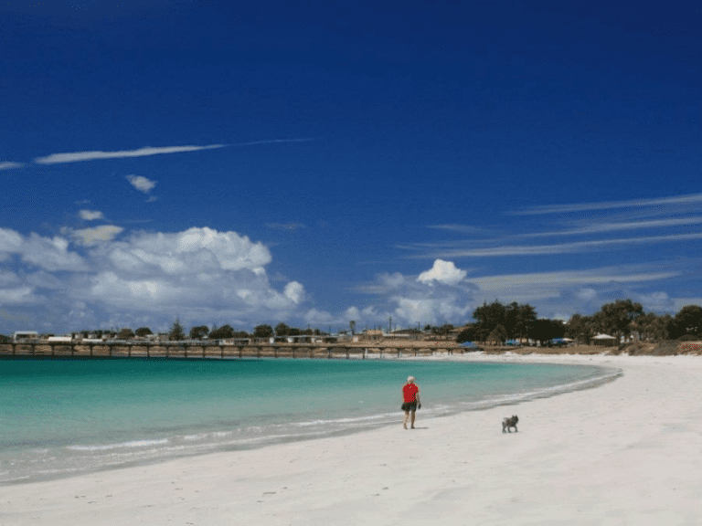 Port Neill Caravan Park 8 6 768x576